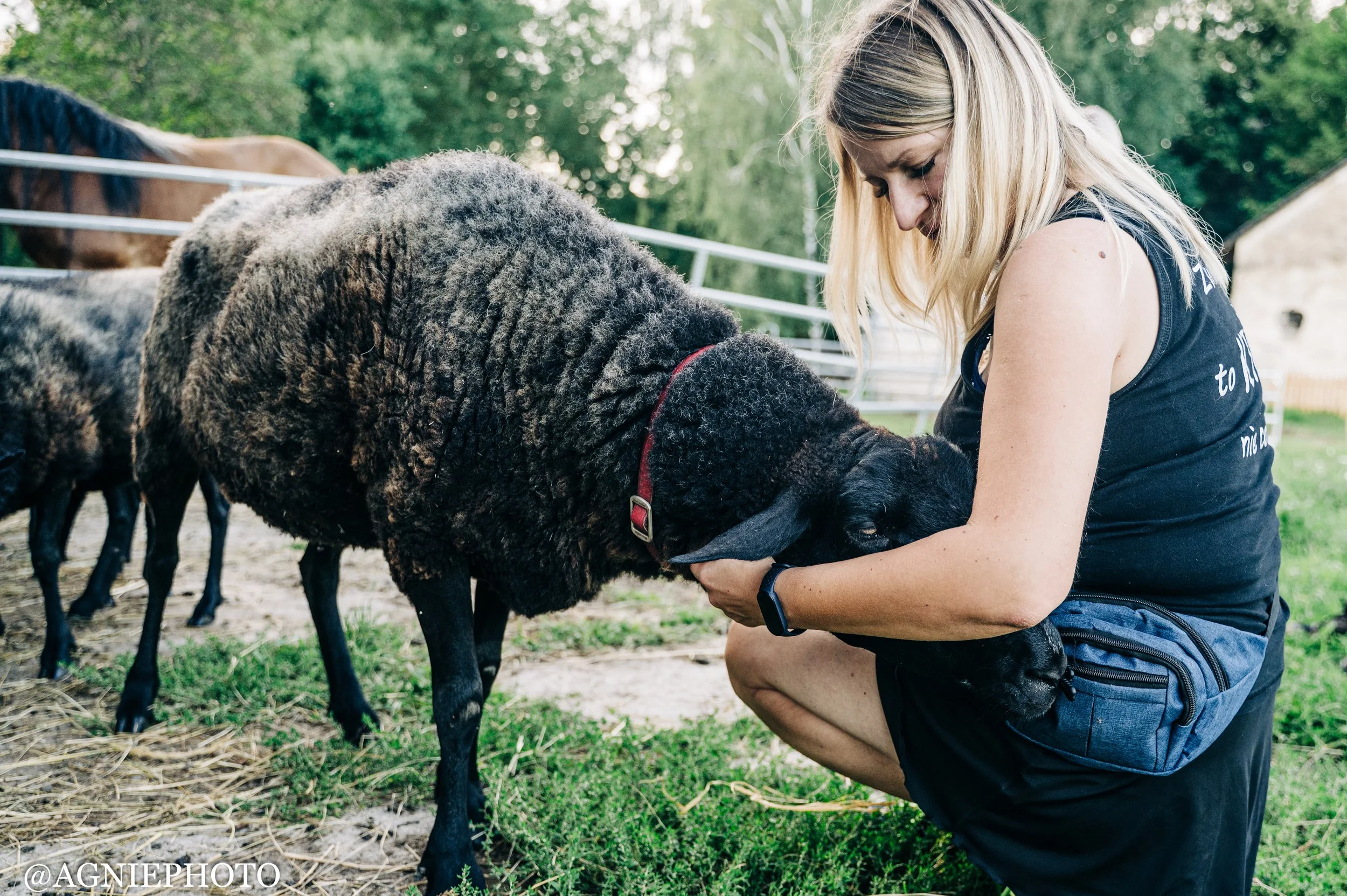 Wolontariuszka przytula czarną owcę w Azylu Ktosiowo
