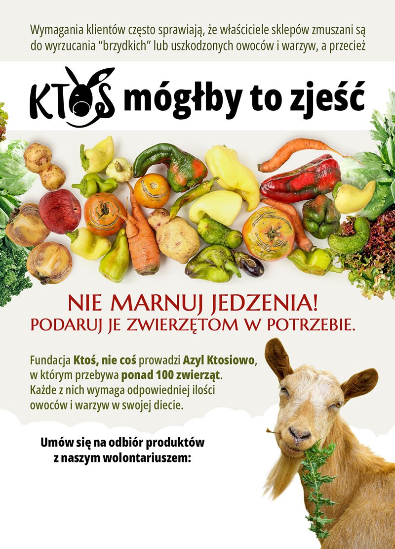 Ulotka akcji — przód