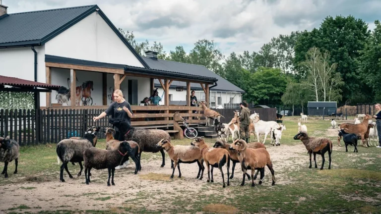 Wrażliwa jak krowa, mądra jak kura, czysta jak świnia. Spotkanie z Dorotą Suwalską w KTOSIOWIE