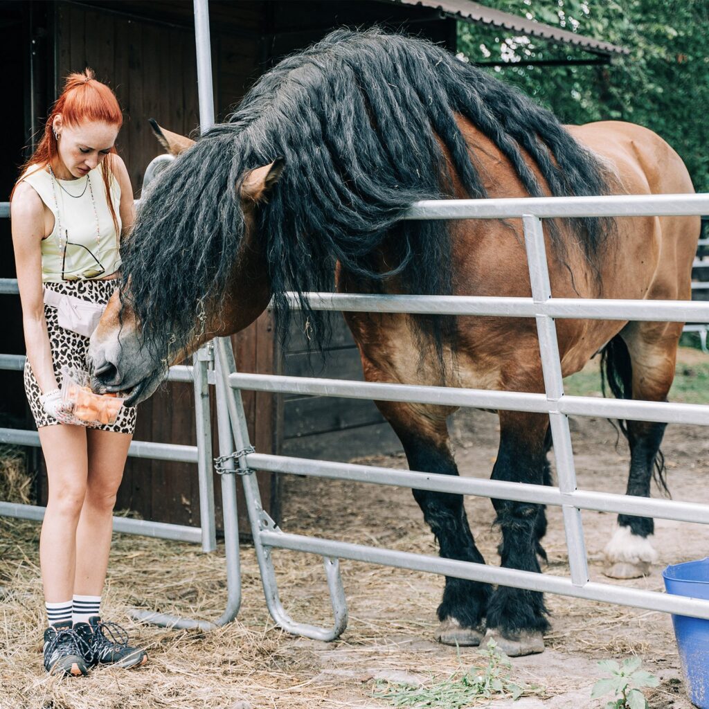 Maximus