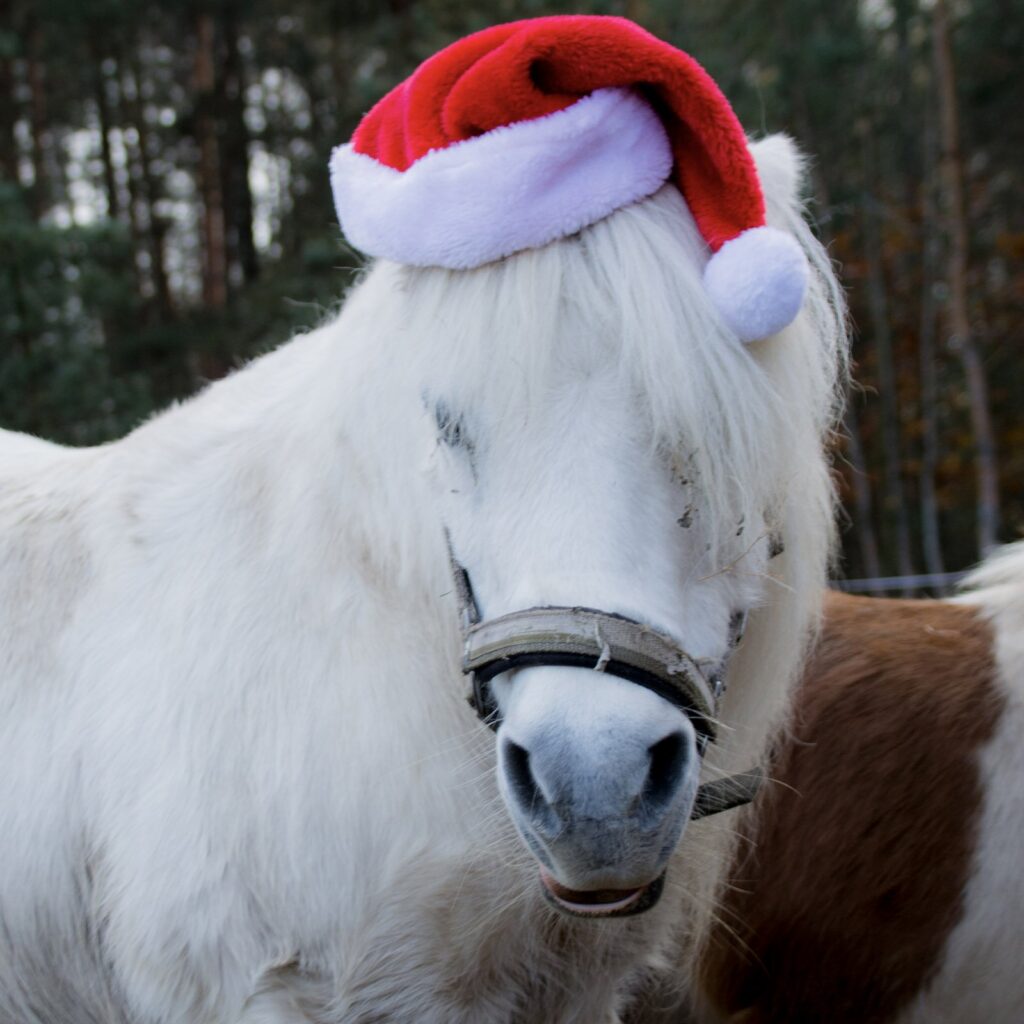 Śnieżka